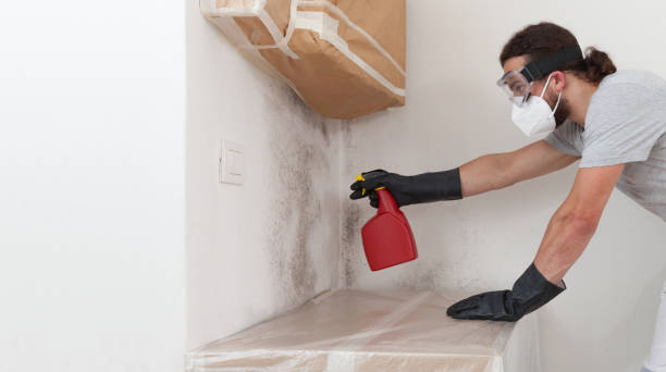 Professional Bathroom Mold Removal technician working in Dillsburg, PA