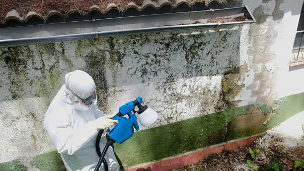 Top rated local Bathroom Mold Removal specialists in Dillsburg, PA